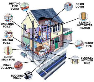 New Jersey Home Inspection Services Sussex County 